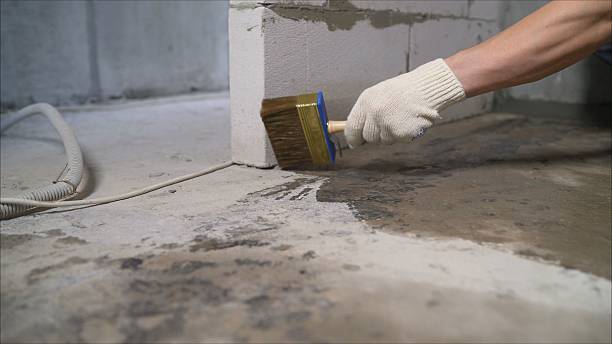 SJ Waterproofing Pros Waterproofing coverage map for Woodstock, AL and surrounding area